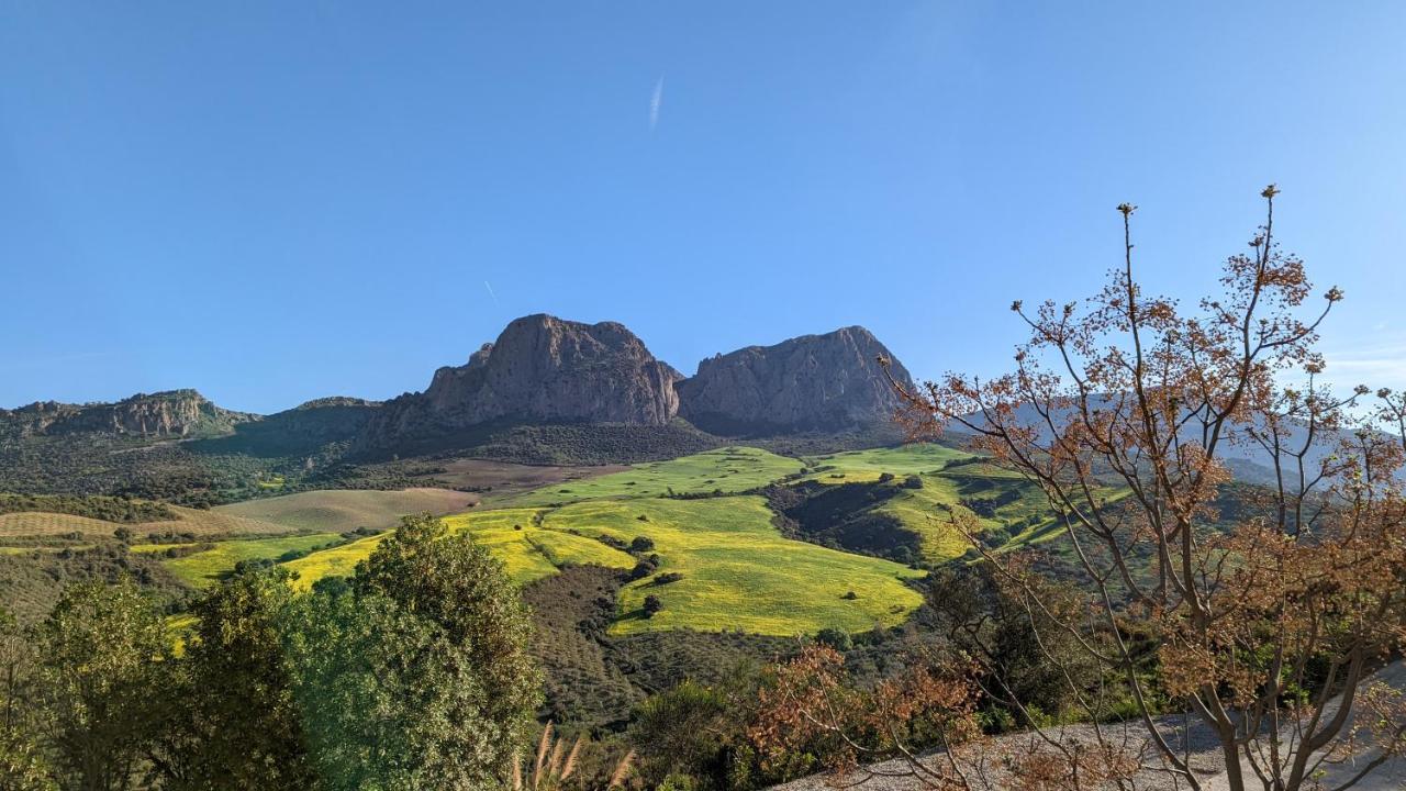 Cortijo Sylvestre Panzió Ríogordo Kültér fotó